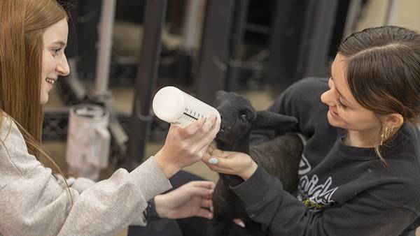 Ashton-Franklin Center Ag teacher’s supply list goes beyond pens, pencils