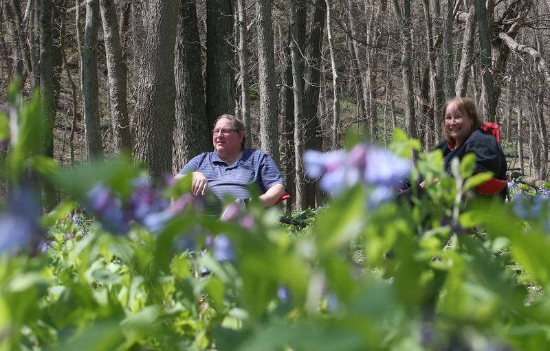 Paul and Jane Depaoli of Ottawa, sit along the trail to Illinois Canyon as they take in the site of the bluebells on Tuesday, April 22, 2025 at Starved Rock State Park.