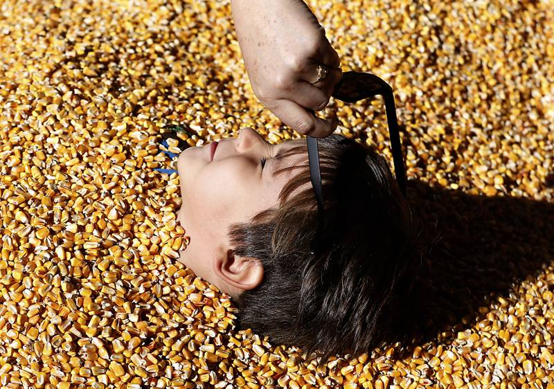 Philips Lehotsk, 5, of Chicago, has his sunglasses removed by his mother as he plays in corn while enjoying fall activities on Monday, Oct. 10, 2022, at Richardson Adventure Farm, 909 English Prairie Road in Spring Grove. The farm's main attraction is a James Bond-themed corn maze, but it also features a 50-foot observation tower, train rides, a carousel, picnic areas, wagon rides, a zip line, 150- and 100-foot slides, zorbing, a petting zoo, pumpkin patch, goat feeding area, pedal kart tracks, live music on weekends, a kid's play area, jumping pillows, pig races, air cannons, a paintball shooting gallery, indoor restrooms, gift shop and wine tasting bar.