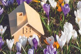 Be a neighborhood trendsetter and lead by example in the new year