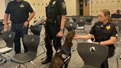 Sycamore police therapy dog Dooley helped schools more than 500 times since 2022