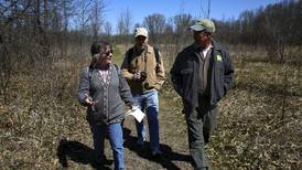 Explore the wonders of Braidwood Dunes and Savanna in Will County