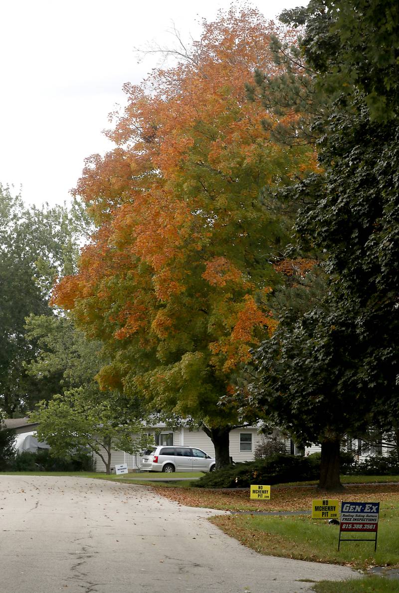 With many trees in McHenry just starting to change color and top their leaves many municipalities are just starting to pick up leaves.