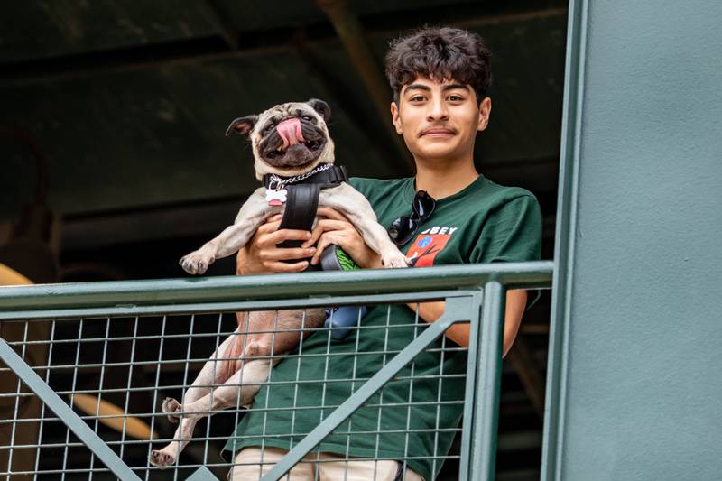 Plainfield resident Lucas Terrazas and his dog Milo, enjoy the Joliet Slammers Dog Day event, presented by University of St. Francis, on Aug. 10, 2025.