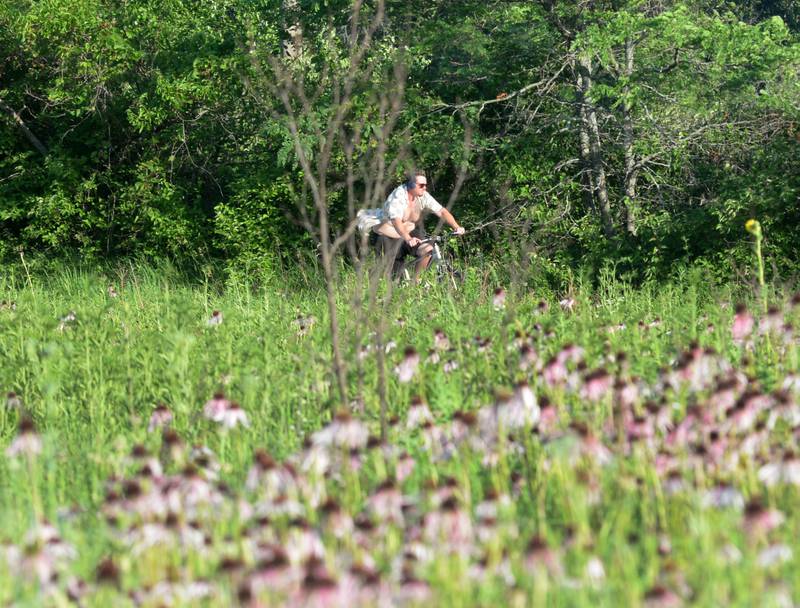 A man rides his bike on one of the trails surrounding a prairie at the Albany Mounds State Historic Site in Albany on Saturday, June 21, 2025.