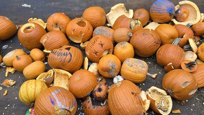Glen Ellyn Park District to host pumpkin smash 