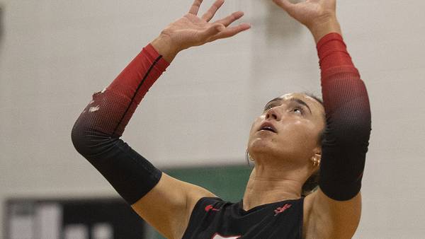 Three Sauk Valley Skyhawks earn all-region