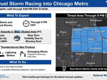 Drivers urged to stay off roads in Illinois amid dust storms