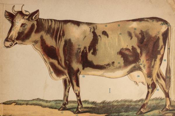 Learn about DeKalb County’s rich agricultural history