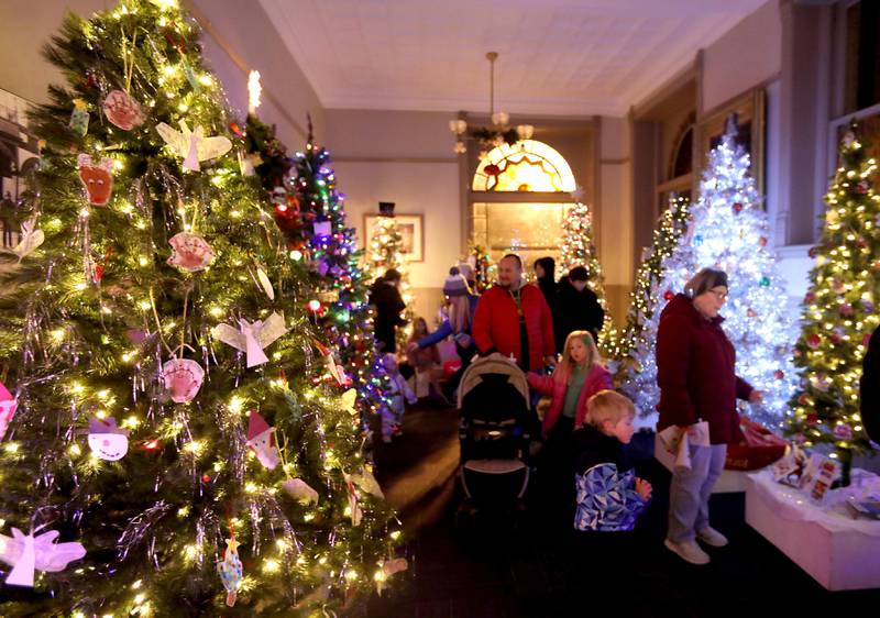 People look at trees during the Opera House Christmas Tree Walk before the Lighting of the Square on Friday, Nov. 28, 2025, in Woodstock.The annual holiday season event featured brass music, caroling, free doughnuts and cider, food trucks, festive selfie stations and shopping.