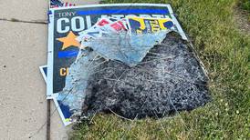Crystal Lake man charged with felonies for allegedly setting campaign signs on fire