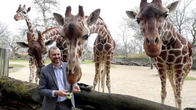 New view of the zoo: Brookfield’s leader bringing a veterinarian’s touch to renovation plans