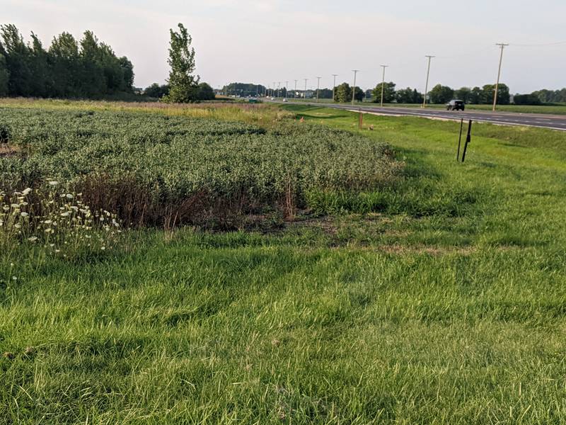 Chakra360 LLC has proposed the 211,000-square-foot stadium – which would have a maximum capacity of 24,000 people – on 34 acres of land it owns at the northwest corner of Orchard Road and Tuscany Trail in Oswego.