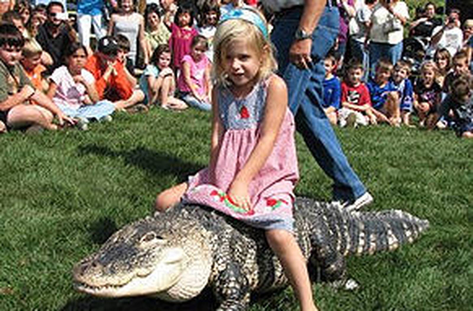 Shabbona UCC to host ‘Alligator Sunday’ Shaw Local