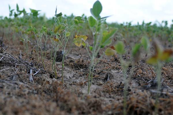 Northern Illinois isn’t in a drought anymore, but it’s still dry