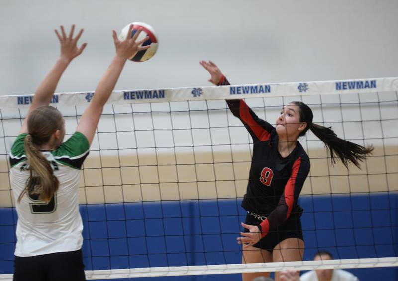 Erie-Prophetstown's Ashlyn Johnson (9) hits past Rock Falls' Kayla Hackbarth (9) during the championship of the 2A Sterling Newman Regional on Thursday, Oct. 31, 2024.