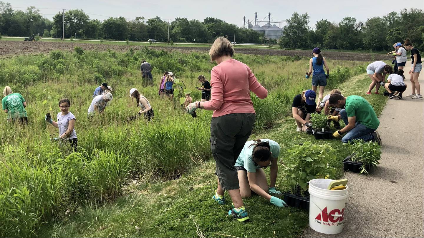 Members of the G-Force Club, along with local volunteers and school staff members, planted over 600 plants on the south side of the Sycamore College grounds to improve water retention.  May 31st.
