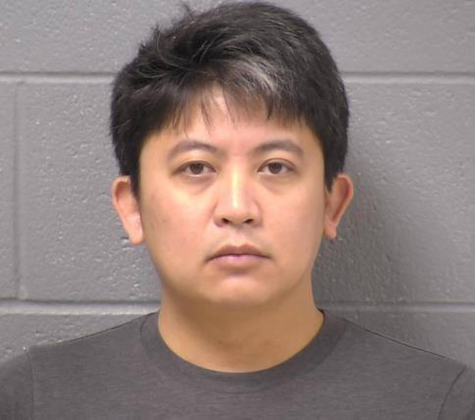 Bolingbrook man charged with displaying gun at Naperville dog park