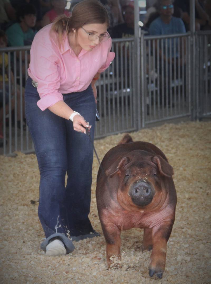4-H member Hailee Dannenberg of Newark gently guides one of her animals during the 4-H swine show on Friday.