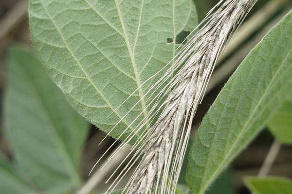 Public meeting on carbon capture set for Sept. 2 in Putnam