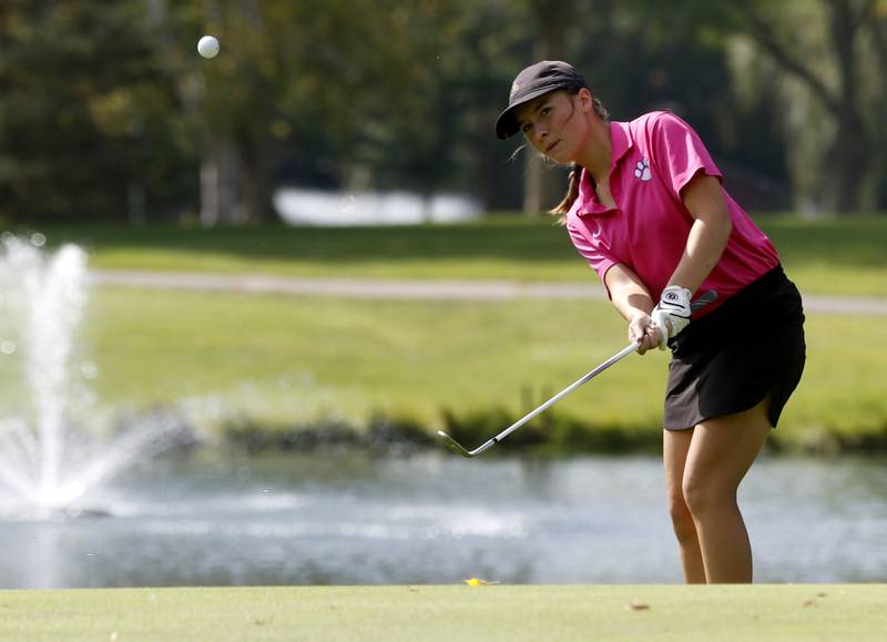 Hampsire’s Lily Farnam wchips onto the ninth green during the Fox Valley Conference Girls Golf Tournament Wednesday, Sept. 21, 2022, at Crystal Woods Golf Club in Woodstock.