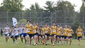 Cross country: Sterling boys, girls repeat as Twin Cities Meet champions