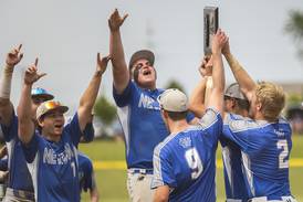 Early lead, strong pitching send Newman past Johnsburg