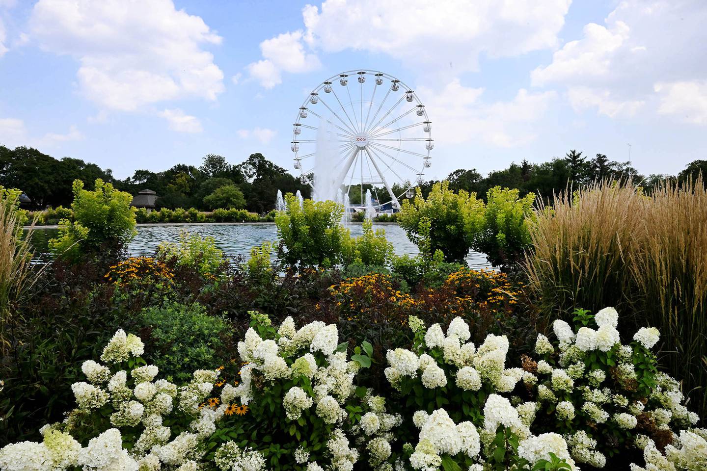 Brookfield Zoo Chicago's Ferris Wheel returns for the season in March.