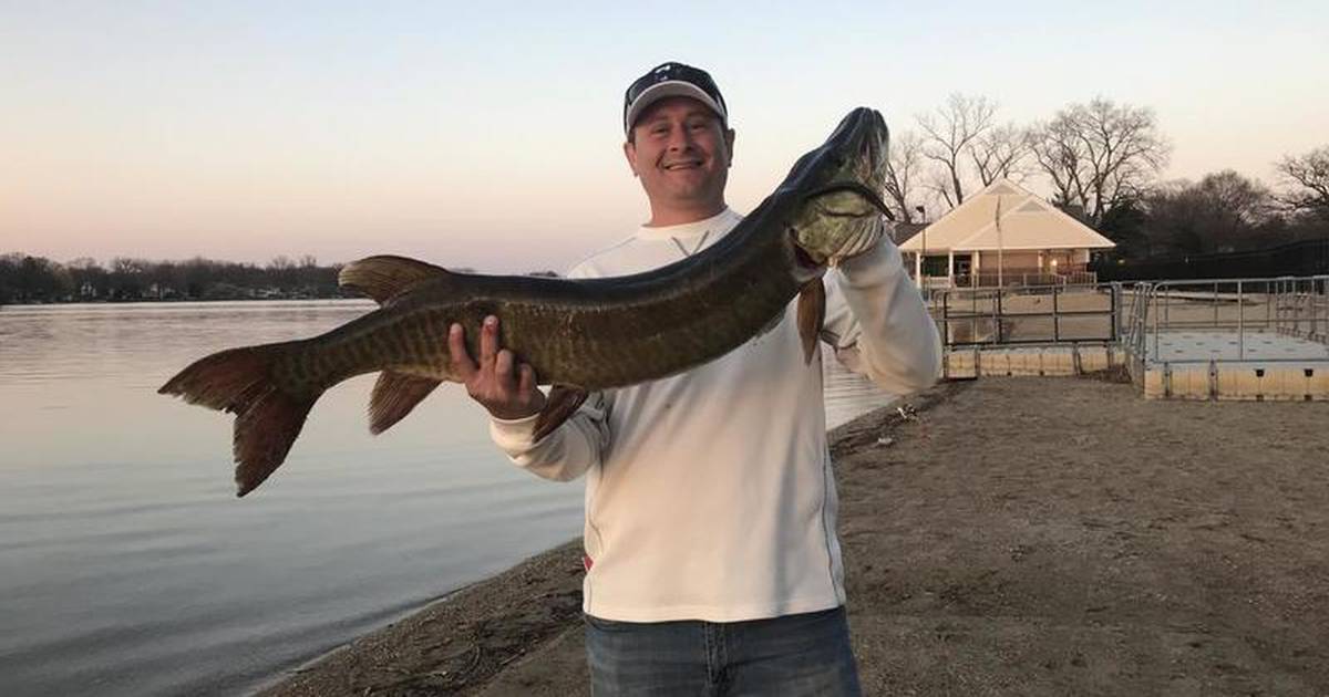 Sarley: Local angler reels in giant muskie at Crystal Lake – Shaw Local