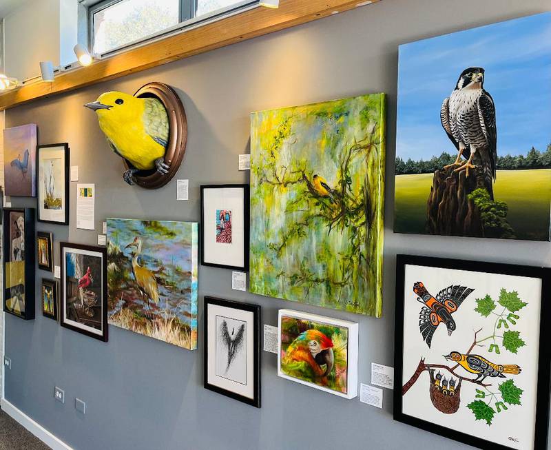 A glimpse of the "It's for the Birds" Exhibition at Bue Moon Gallery, Grayslake