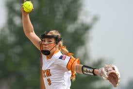 Here is the 2025 Suburban Life All-Area softball team