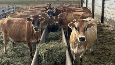 Raw milk proponents push for fewer restrictions on Illinois sales despite state health warnings