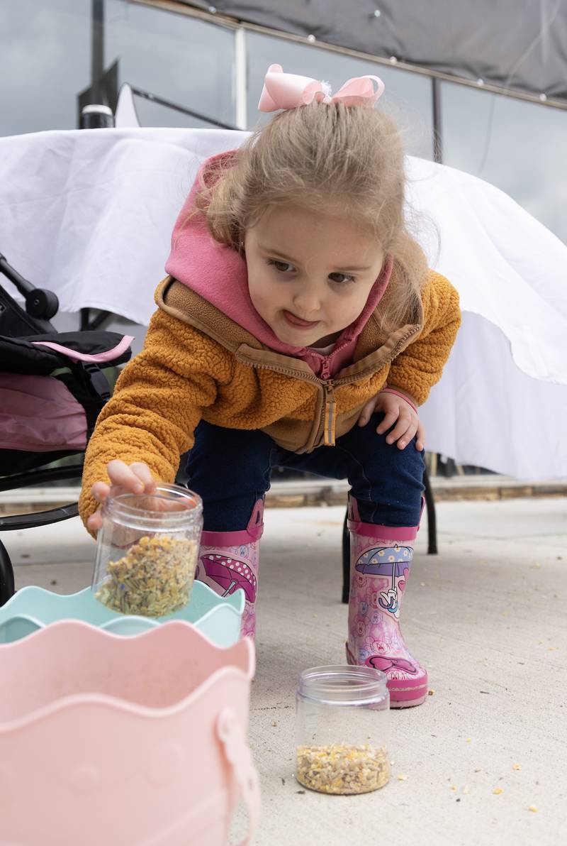 Crouched on the sidewalk, Rylee Gwin, 2, of Ottawa makes a special mix of Easter Bunny food Saturday, March 30, 2024, on Court Street.