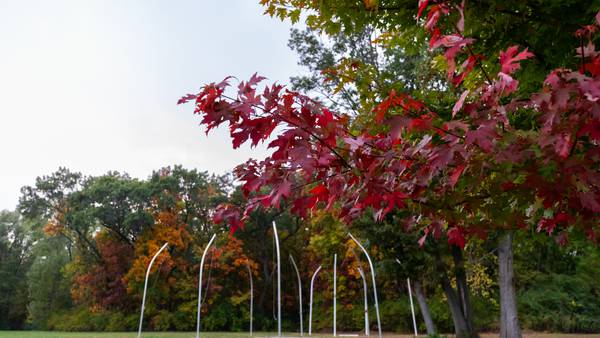 Community Pulse: Grundy County Land Use efforts in Fall 2025