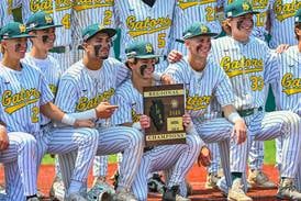 Crystal Lake South holds off ‘Cinderella’ Central to win regional title 