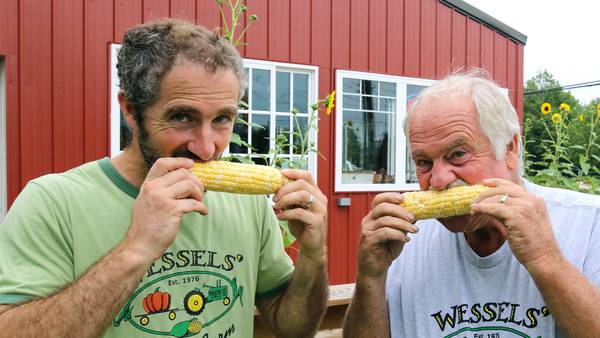Waterman family farm spent months growing thousands of ear-resistible corn for DeKalb Corn Fest 