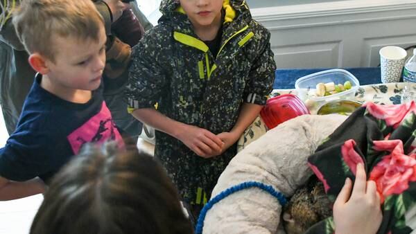 Photos: Polar-Palooza in St. Charles