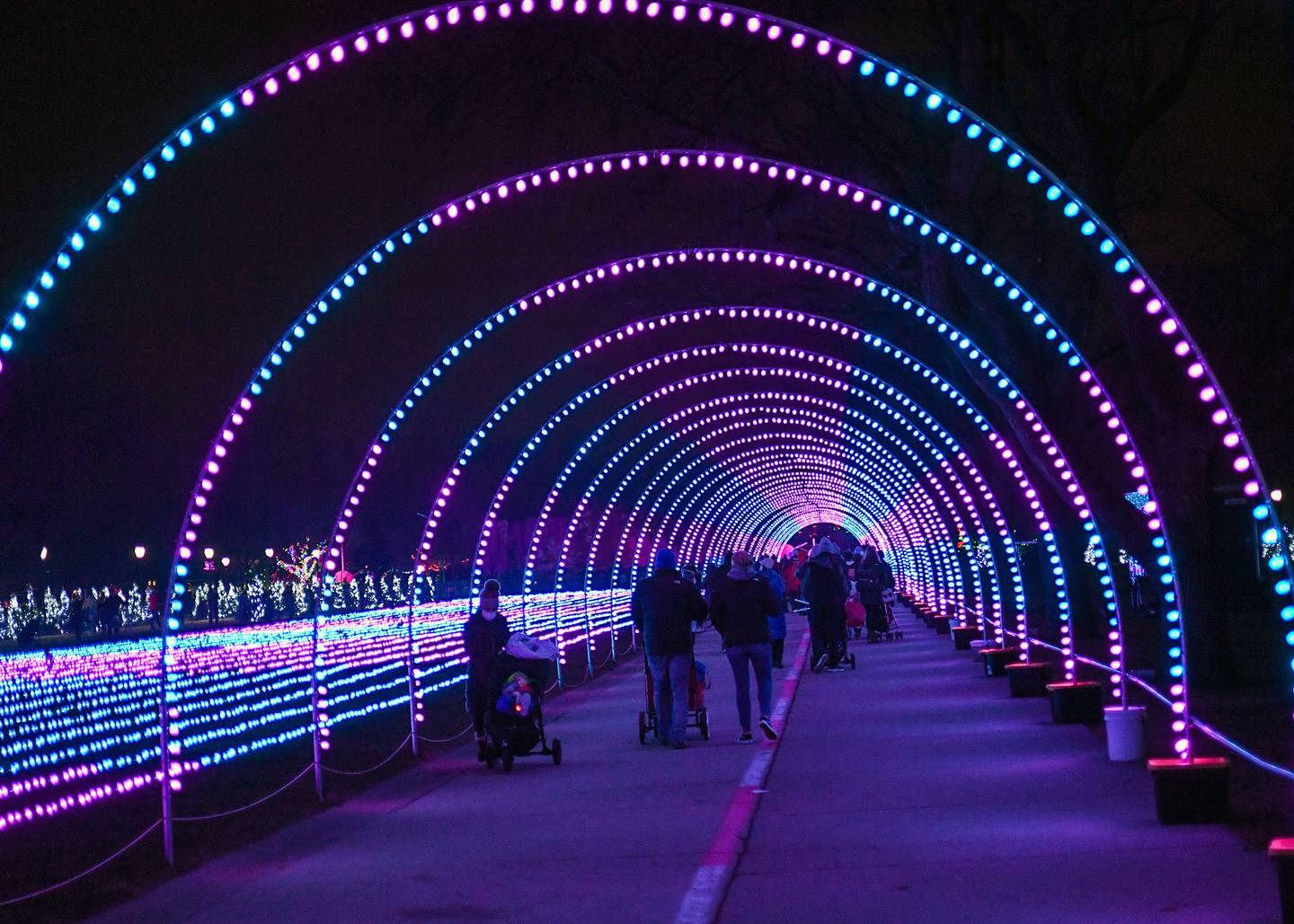 Brookfield Zoo holiday lights