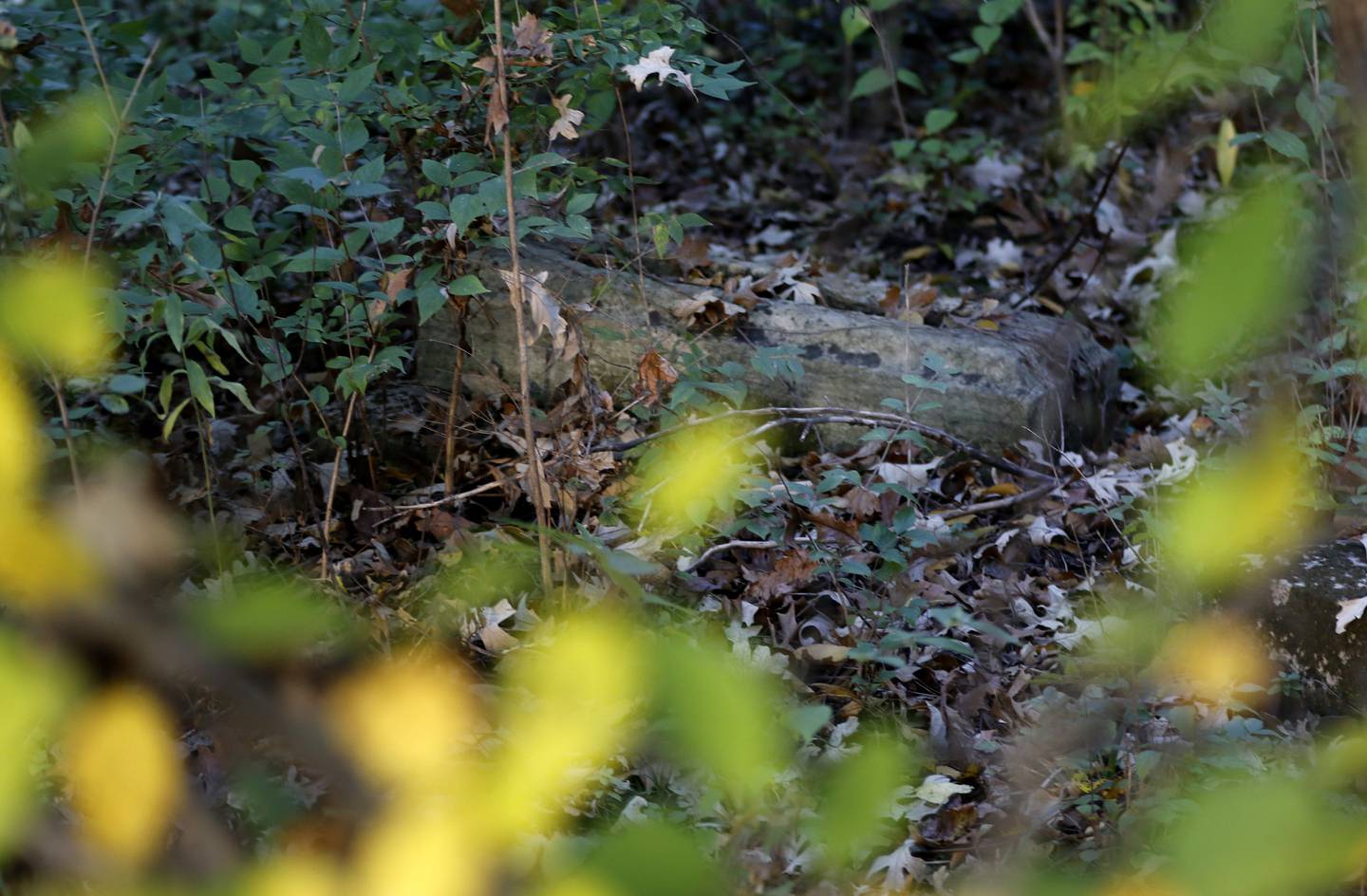 A grave marker base in old cemetery just north of Route 14 on Rose Farm Road on Thursday, Oct. 30, 2025, near Woodstock.