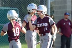 Softball: 5 standout stats from the 2023 season in McHenry County
