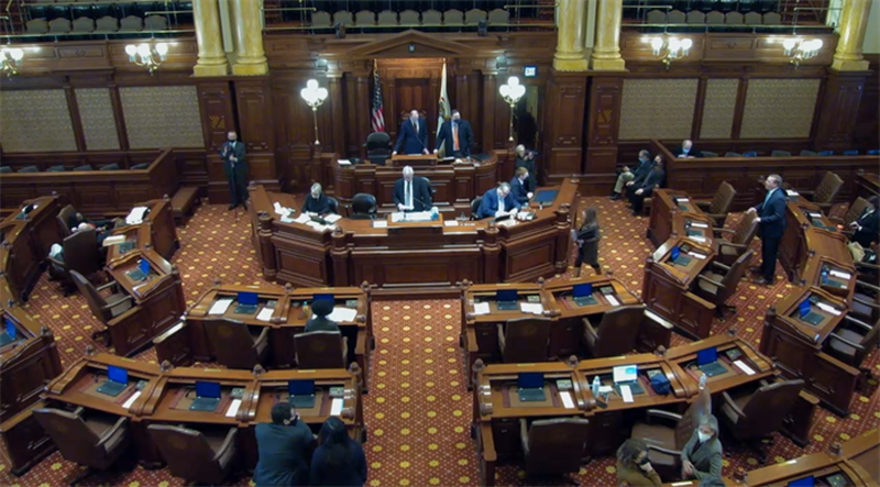 Illinois Senate floor