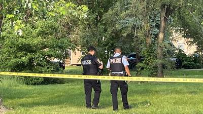 Joliet police say 13-year-old found shot to death in alley