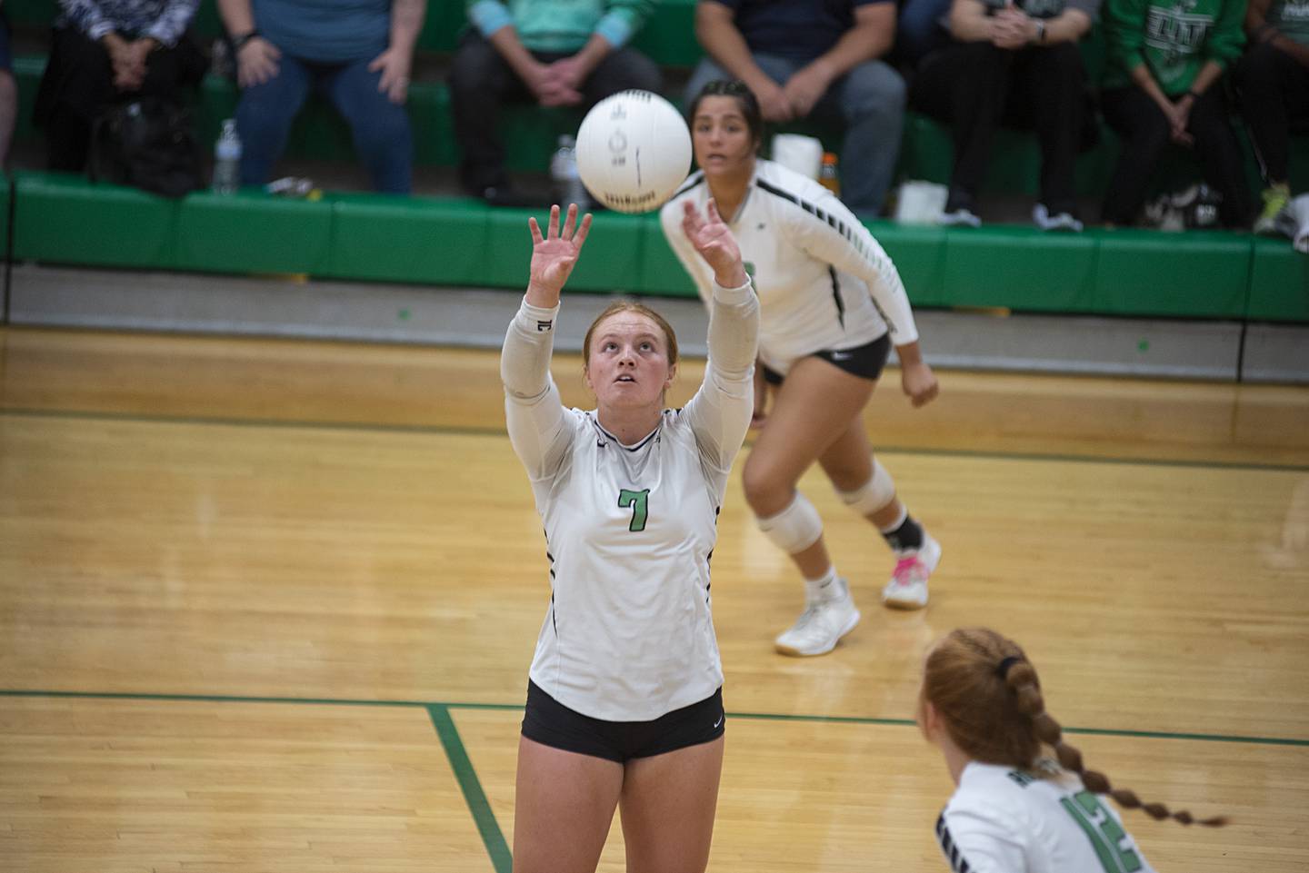 Rock Falls’ Denali Stonitsch sets the ball against Rock Island Monday, Sept. 12, 2022.
