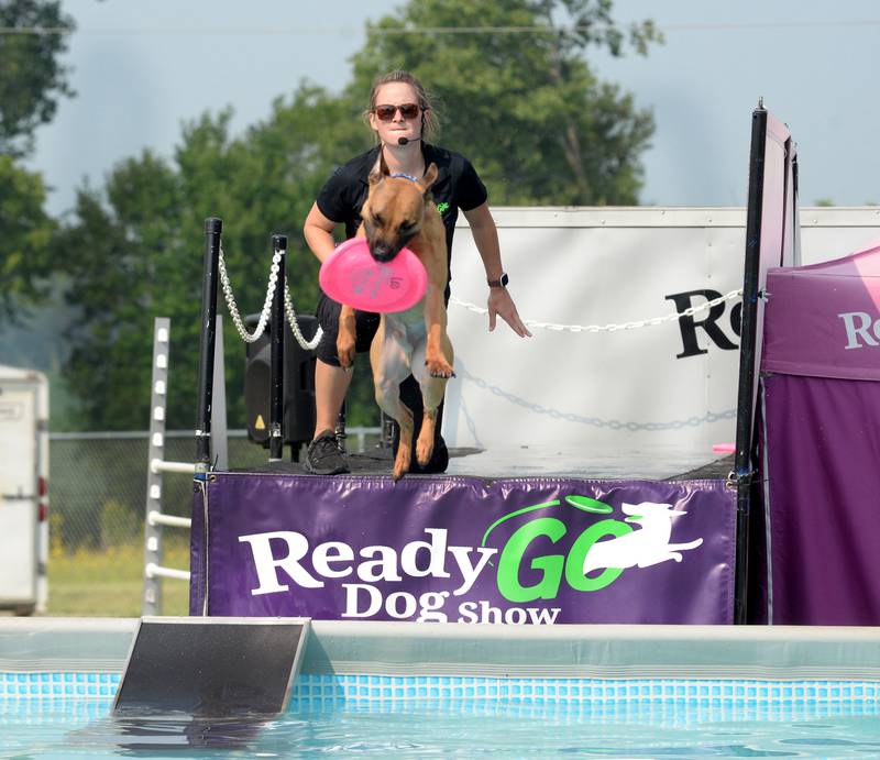 Nikki Penta of the Ready Go Dog Show watches one of her pups compete in a dock diving performance at the Ogle County Fair on Thursday, July 31, 2025.