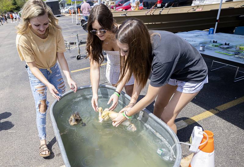 Kendall Anderson, left, Hailey Bielema and Hailyn Garza play with baby ducks Thursday, May 11, 2023 at Sterling High School’s Farmapalooza.