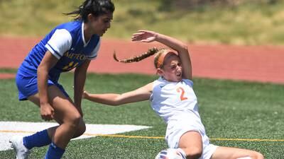 Girls soccer: 5 standout stats from the 2023 season in McHenry County 