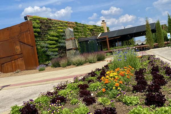 Local flavor blooms at farm-to-table restaurants in northern Illinois