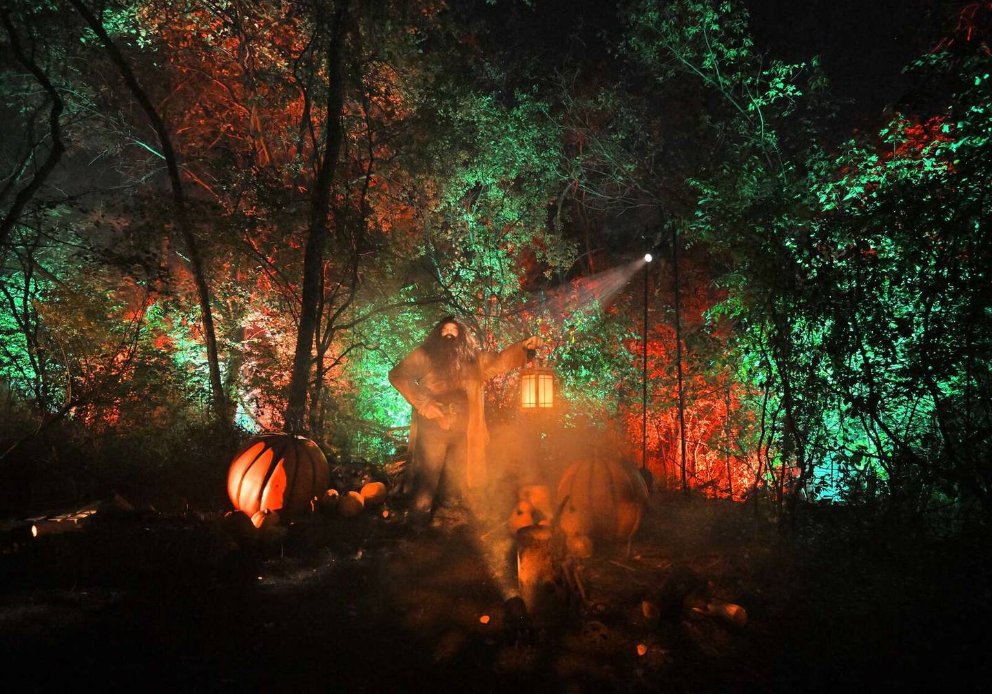 A life-sized Rubeus Hagrid, keeper of keys and grounds at Hogwarts School of Witchcraft and Wizardry, greets visitors along the trail at “Harry Potter: A Forbidden Forest Experience” in Ingleside. The event runs through Nov. 2.