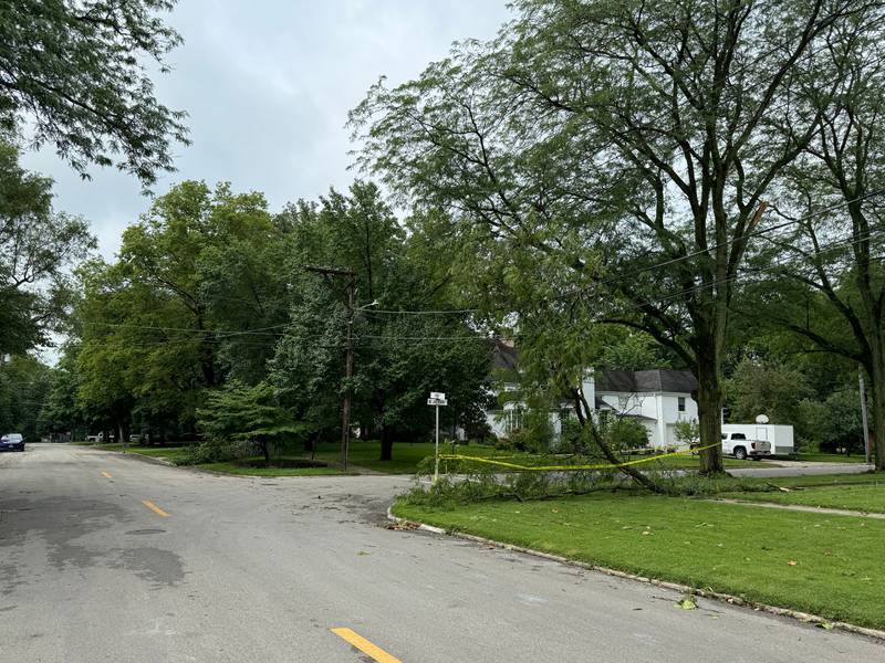 A tree limb leans against a power pole at the corner of Jackson and Vine Streets in Morris.