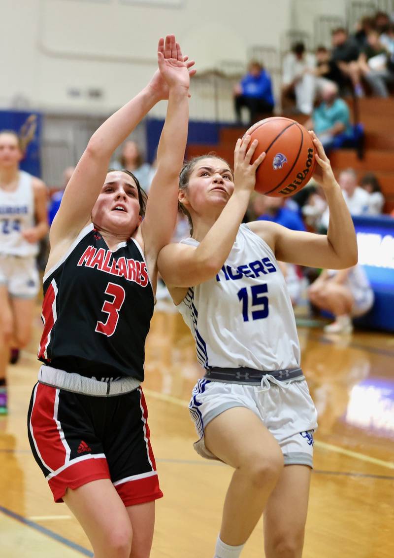 Princeton's Olivia Mattingly drives on Henry's Lauren Harbison Tuesday night at Prouty Gym.